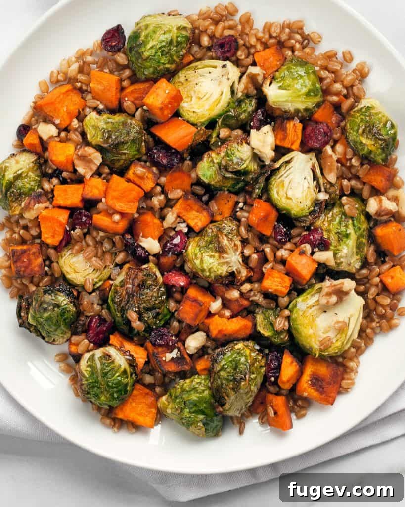 Harvest Wheat Berry Bowl with Roasted Sweet Potatoes and Brussels Sprouts 4 Plated Wheat Berry Salad Ready to Serve