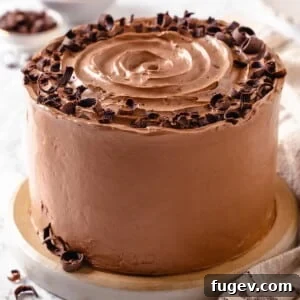 A full round cake completely coated in chocolate Swiss meringue buttercream, showcasing the smooth, professional finish.