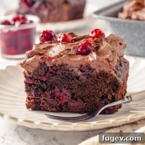 Velvet Chocolate Cherry Indulgence 3 Moist chocolate cake slice with cherries visible throughout interior.