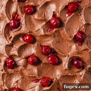 Fluffy chocolate cream cheese frosting adorned with fresh cherries, ready for your desserts.