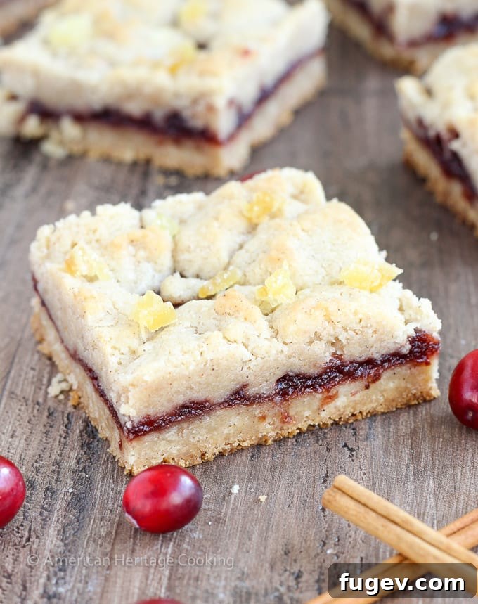 Spiced Cranberry Crumble Bars 2 Gooey spiced cranberry filling nestled between buttery cinnamon streusel crusts in these easy Cranberry Cinnamon Jam Bars, perfect for holiday gatherings.