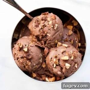 Hot Chocolate Ice Cream