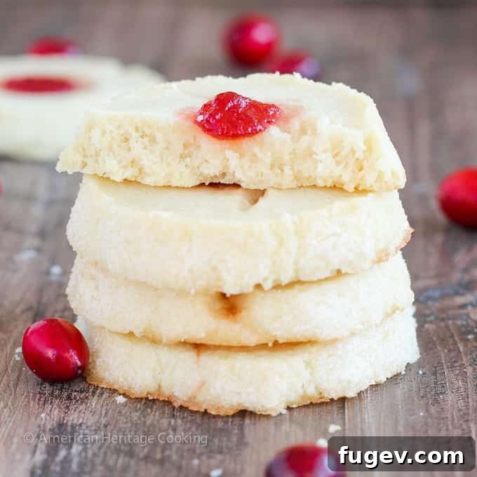 Festive Thumbprint Gems 5 A beautifully textured Cranberry Thumbprint Cookie, showcasing its sugary exterior and a generous filling of homemade cranberry jam.