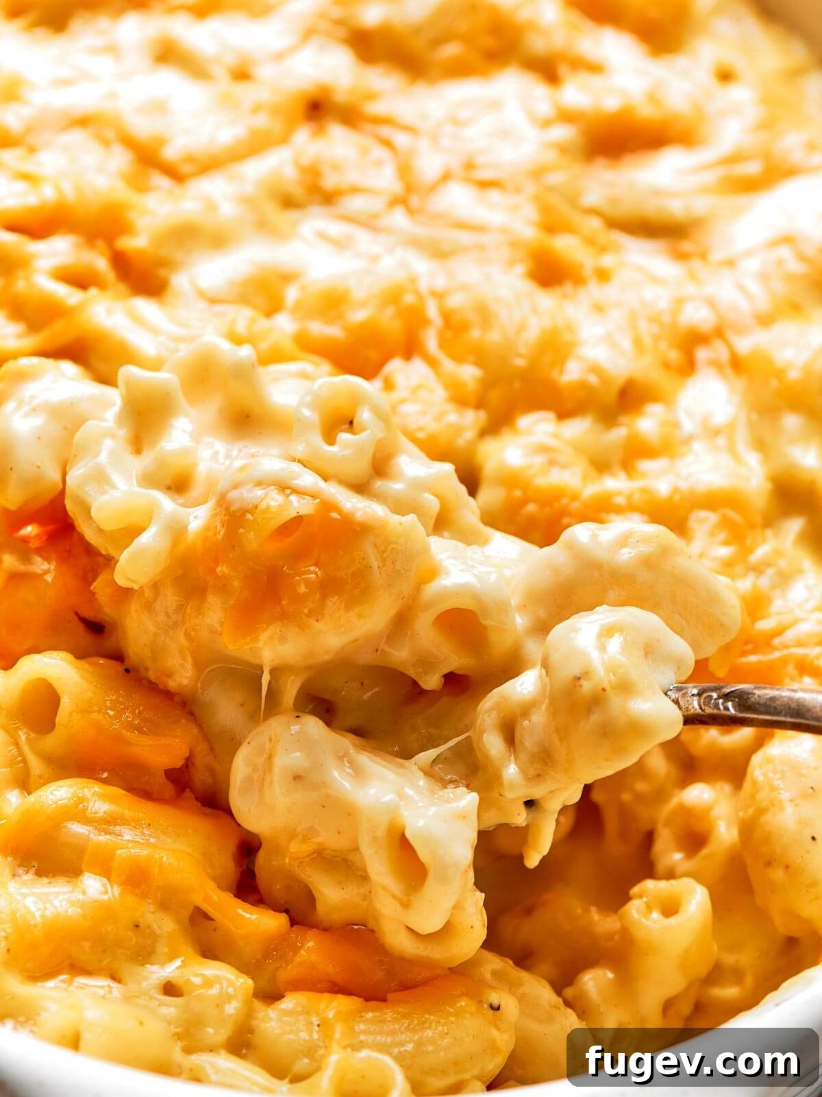 Golden Crusted Baked Mac and Cheese 17 A stunning, bubbling dish of baked mac and cheese, boasting a perfect golden, crispy top and a gooey, irresistible interior.