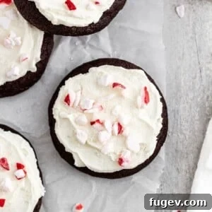 A single, delectable peppermint chocolate cookie, inviting a delightful bite.