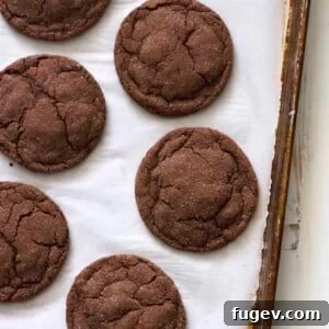 A delicious chocolate cardamom cookie, promising an aromatic and satisfying holiday experience.