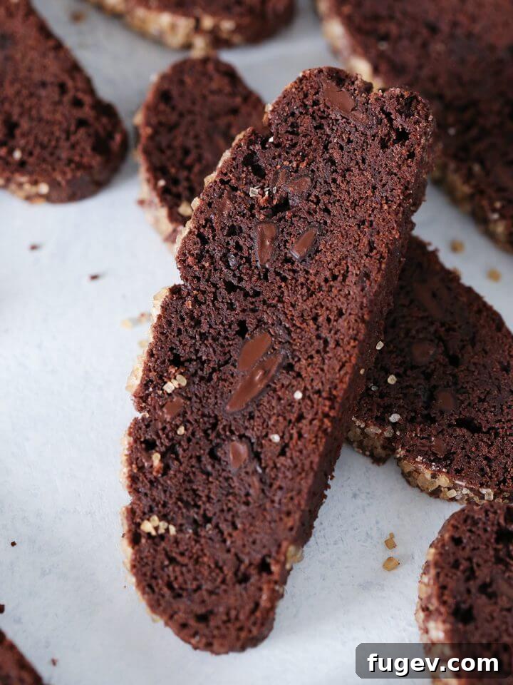 16 Festive Chocolate Christmas Cookies 32 Close-up of a perfectly crumbed Double Chocolate Biscotti, making it ideal for Valentine's Day or a festive Christmas dessert spread.