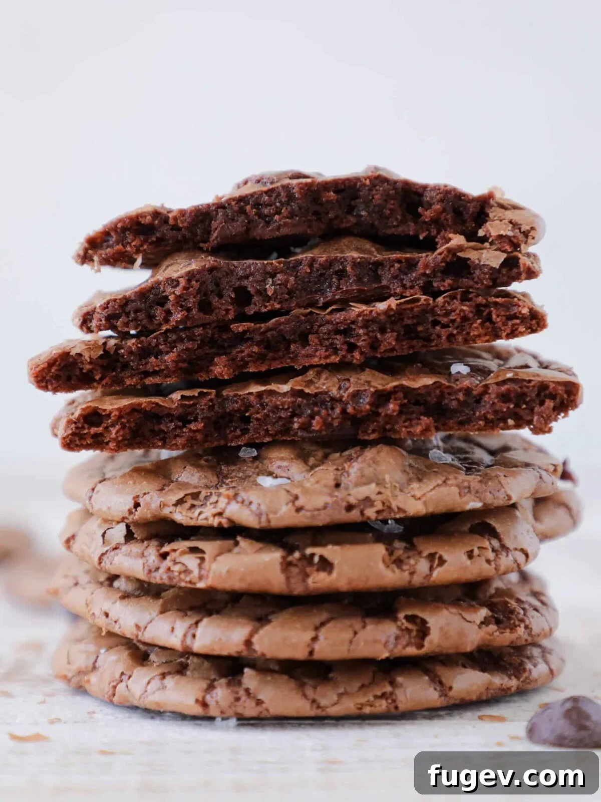 16 Festive Chocolate Christmas Cookies 8 Detailed crumb shot of a Fudgy Brownie Cookie, showcasing its rich, dense texture—an irresistible easy chocolate dessert.