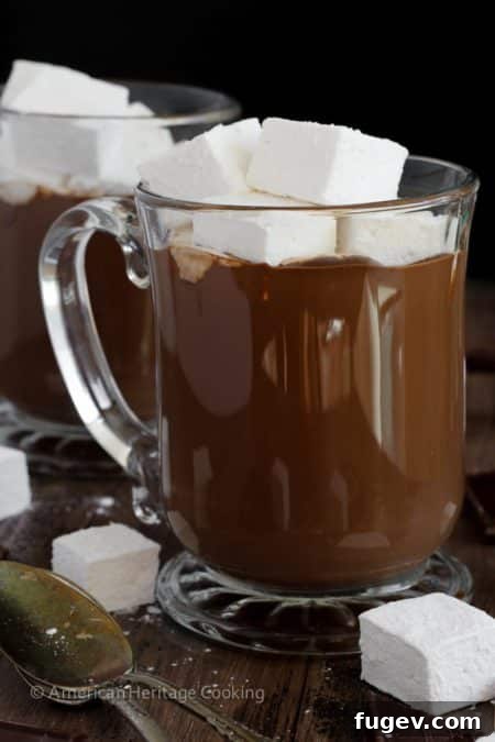 A Sip of Hot Chocolate Heaven 2 The Ultimate Rich & Creamy Hot Chocolate, topped with fluffy homemade marshmallows, served in a cozy mug.