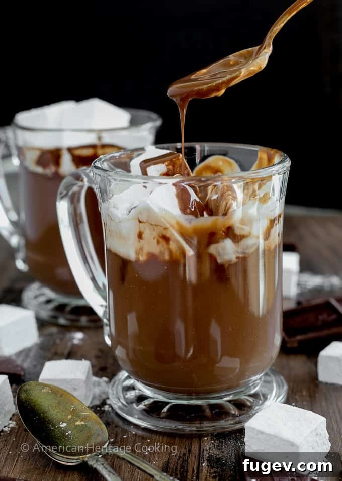 A Sip of Hot Chocolate Heaven 7 A mug of the best hot chocolate, garnished with a single, perfectly toasted homemade marshmallow.