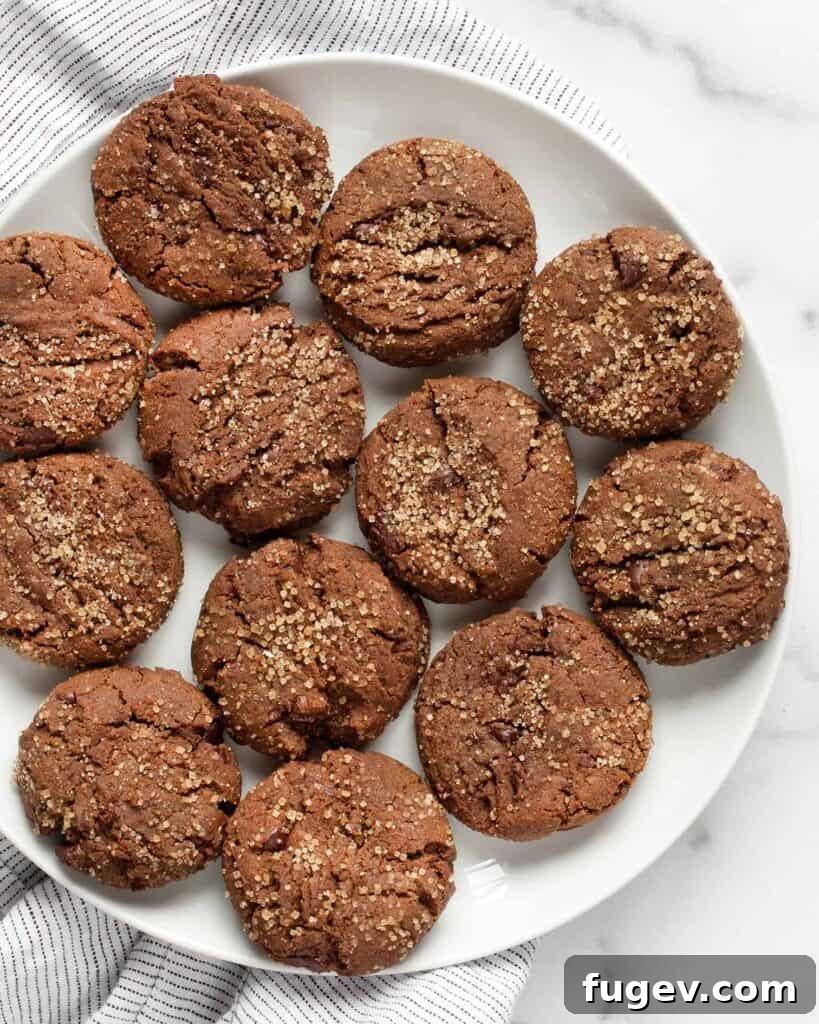 Hot chocolate cookies resting on a ceramic plate