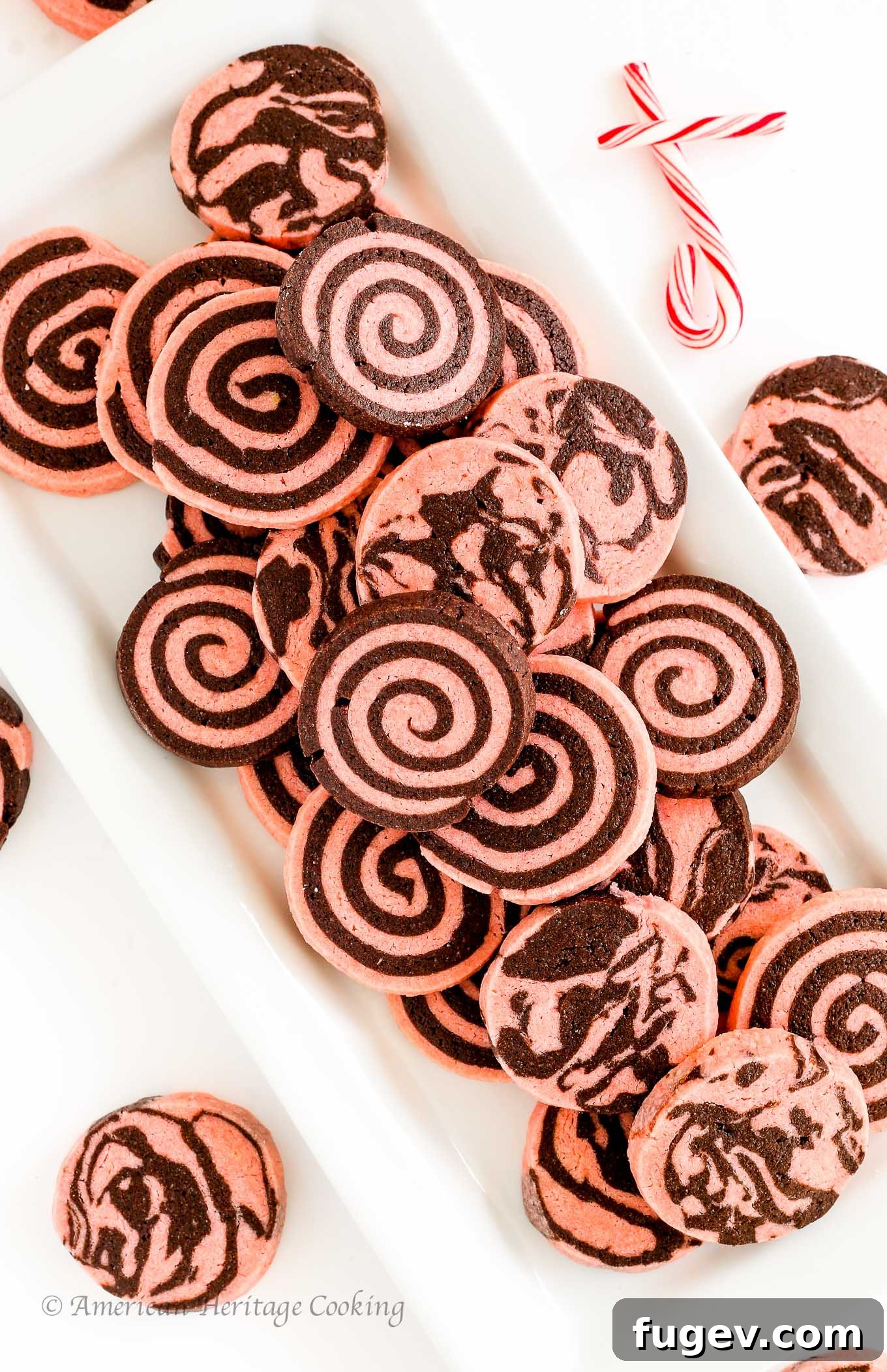 Frosted Peppermint Chocolate Delights 7 Hand holding a Chocolate Peppermint Sugar Cookie, highlighting its vibrant swirl and delicate structure.