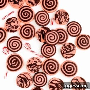Chocolate Peppermint Sugar Cookies White Background chocolate christmas cookies.