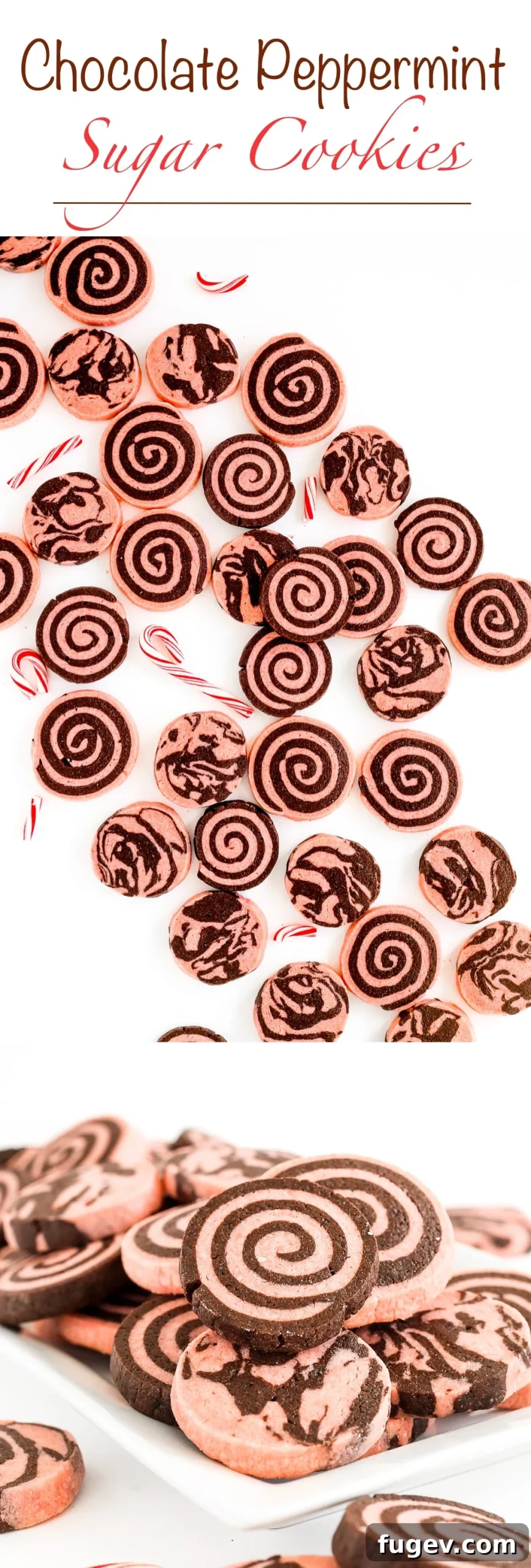 Frosted Peppermint Chocolate Delights 9 A festive Chocolate Peppermint Sugar Cookie displayed beautifully, ready for the holidays.