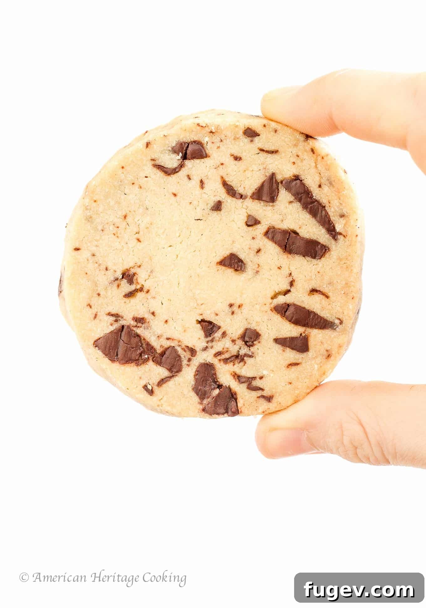 Buttery Chocolate Chip Shortbread Delights 3 A handheld chocolate chip shortbread cookie, showcasing its golden edge and chocolate chunks.