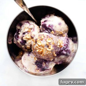 Vegan Blueberry Crumble Ice Cream