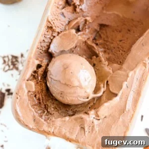 Decadent Double Chocolate Caramel Swirl 6 Double Chocolate Caramel Ice Cream in glass container scooped