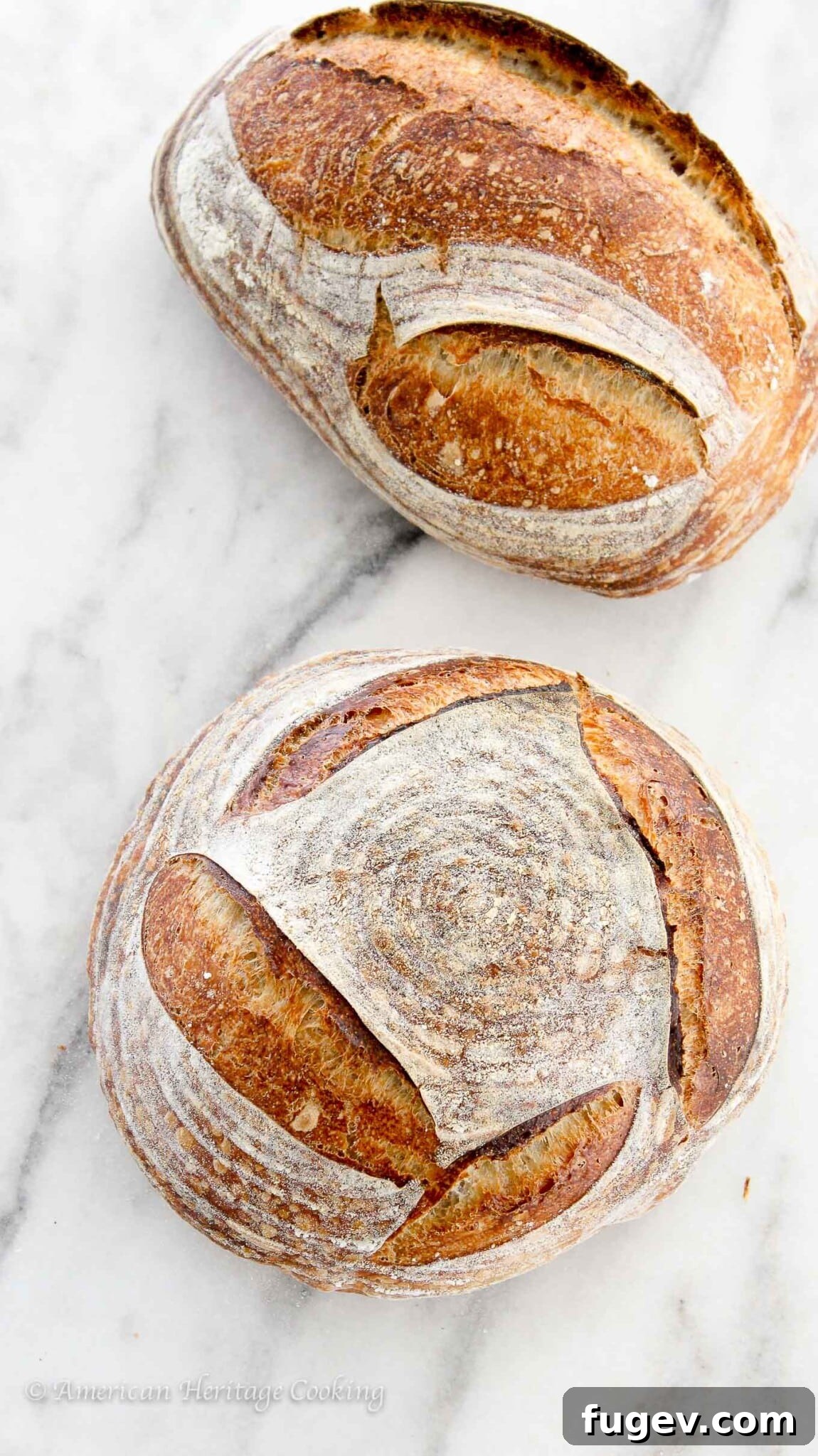 Sourdough Made Simple 2 Close-up of a perfectly baked, rustic sourdough loaf, showcasing its crisp crust and delicious texture, ideal for an easy beginner sourdough bread recipe.
