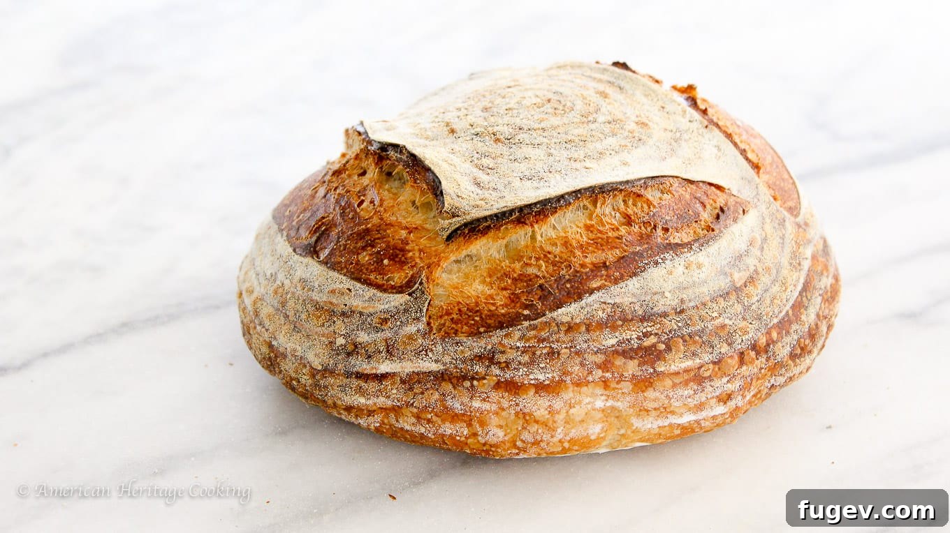 Sourdough Made Simple 5 Freshly baked sourdough bread with an incredible crust, demonstrating the success of an easy sourdough bread tutorial.