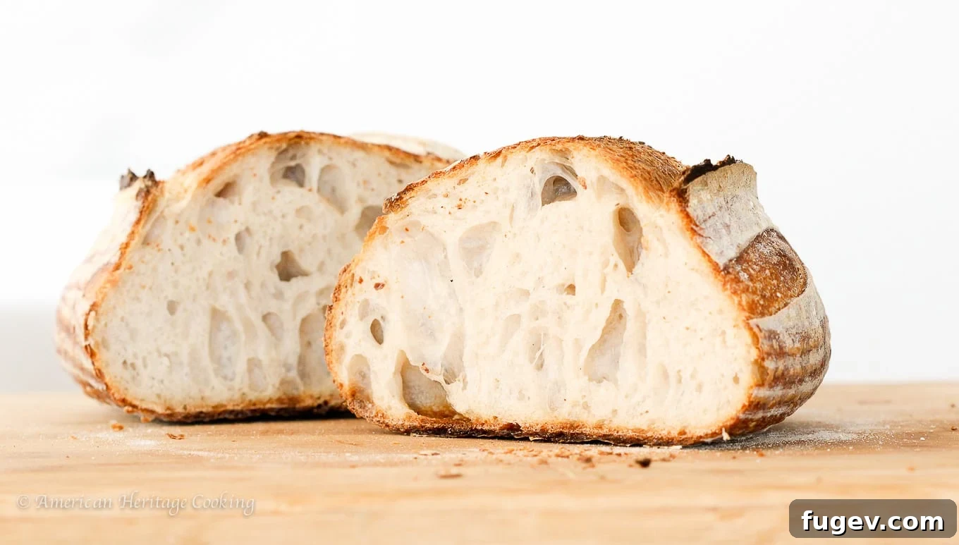 Sourdough Made Simple 7 Close-up of a rustic sourdough bread slice, showcasing its open and airy crumb structure, characteristic of a well-made easy sourdough bread recipe.