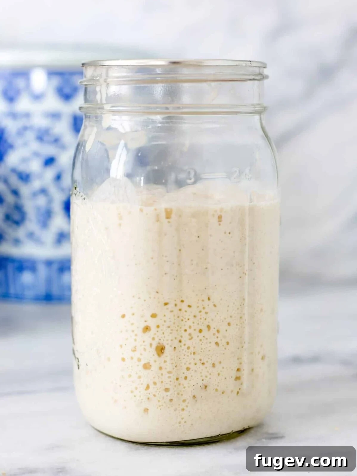 Cultivating Your Own Sourdough Starter 2 Active sourdough starter bubbling in a glass jar, ready for baking.