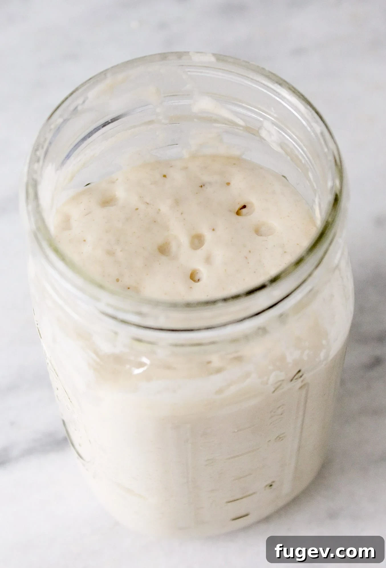 Cultivating Your Own Sourdough Starter 5 Sourdough starter in a glass jar, demonstrating a marked line with a rubber band to show its rise.