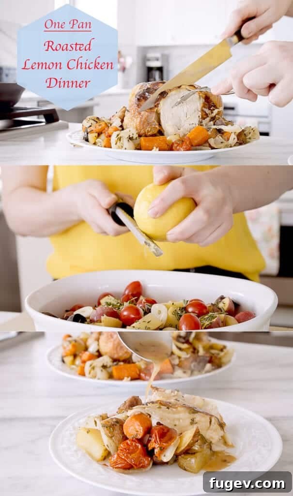 Zesty Lemon Roasted Chicken 12 img 6902 11