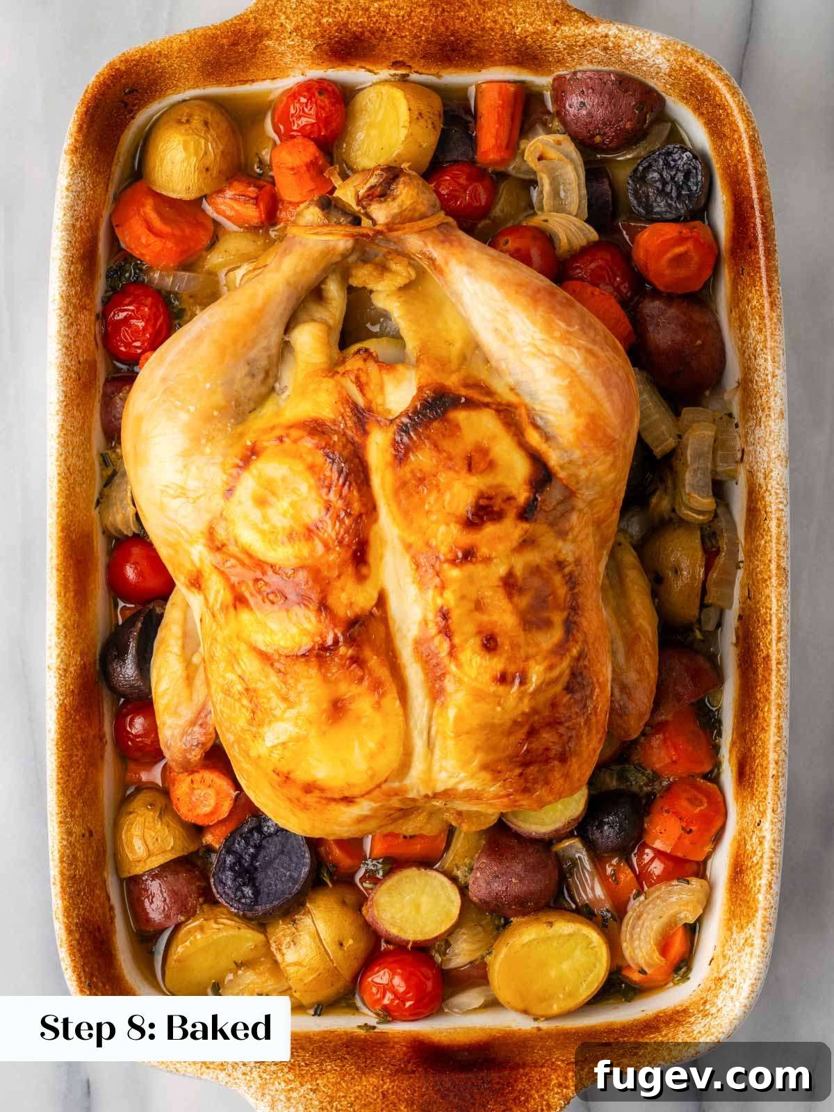Zesty Lemon Roasted Chicken 8 fully baked chicken in dish with roasted vegetables.