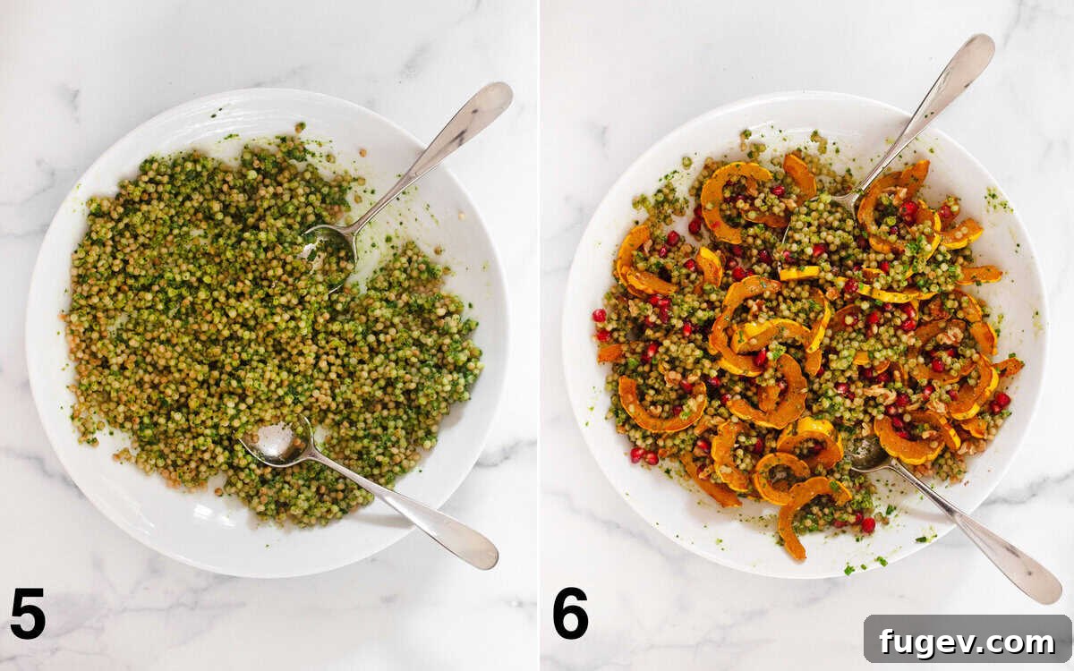 Caramelized Delicata Squash Couscous 6 Pearl couscous mixed with pesto, followed by the final dish with roasted squash, pomegranate, walnuts, and chives folded in.