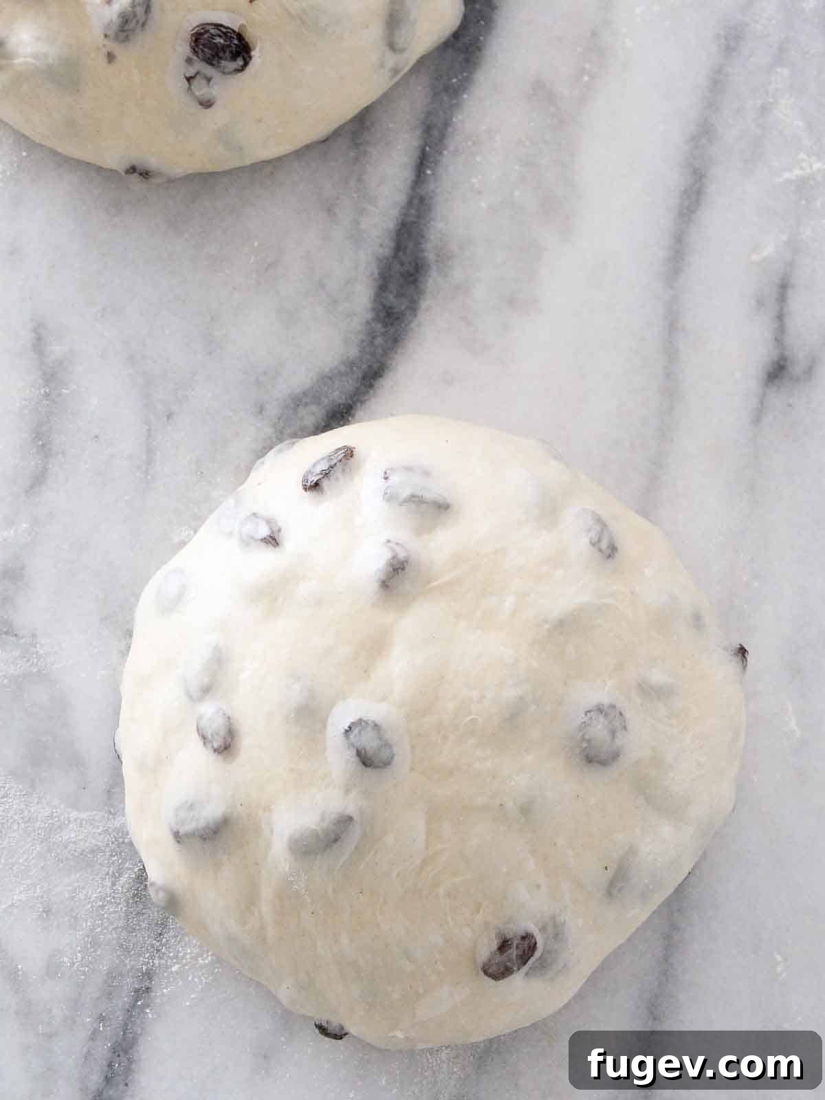 Artisan Sourdough Raisin Loaf 5 Sourdough raisin bread dough divided and preshaped into two round boules.