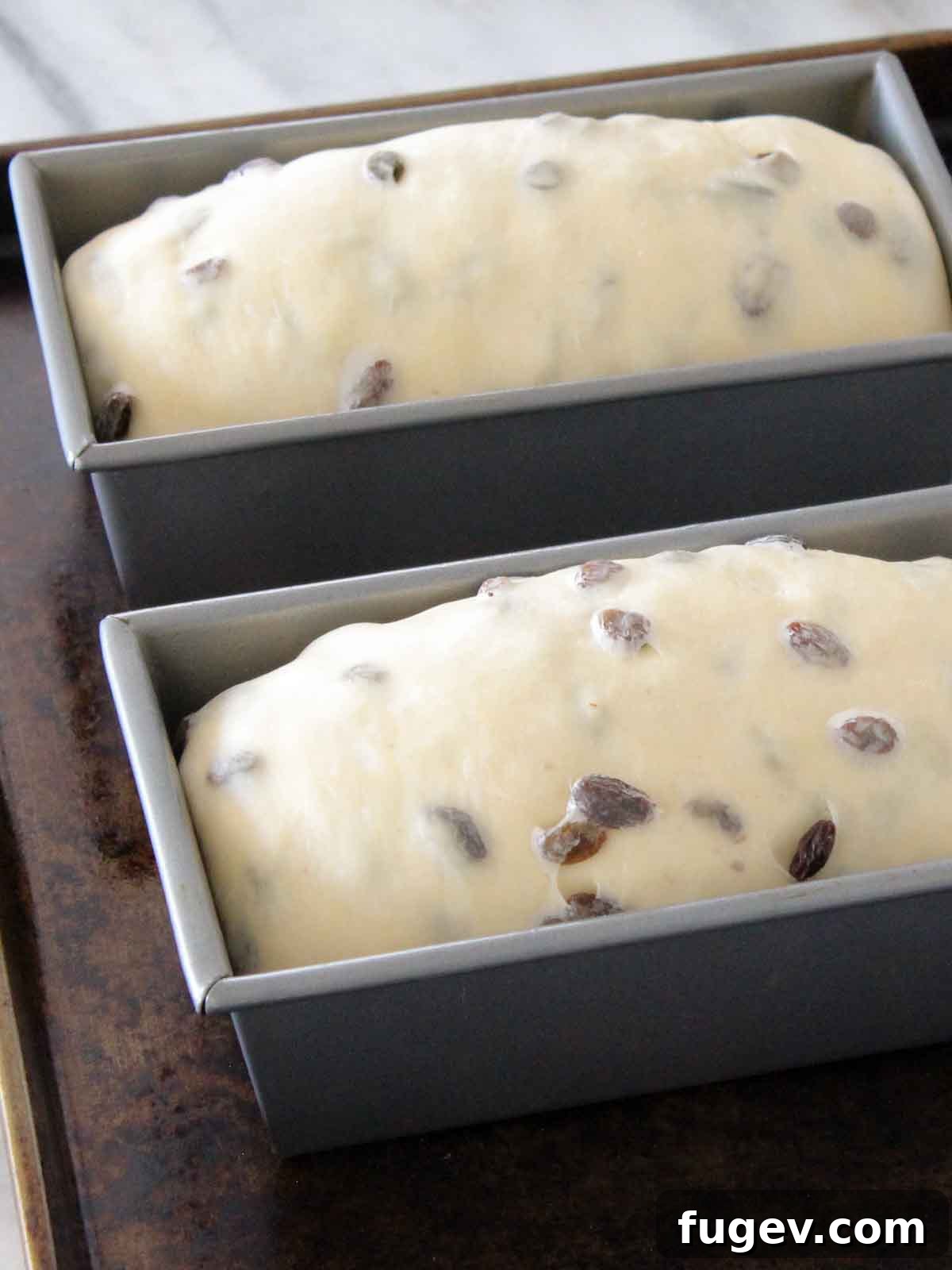 Artisan Sourdough Raisin Loaf 6 Sourdough raisin bread dough after final shaping, placed neatly into loaf pans.
