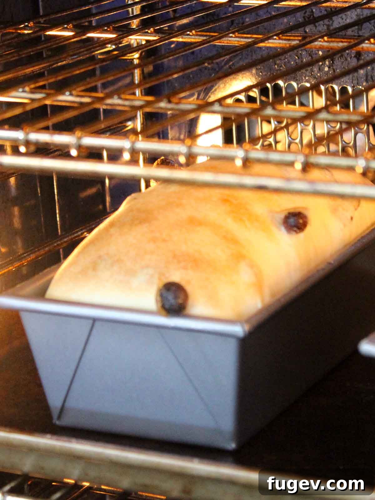 Artisan Sourdough Raisin Loaf 7 Sourdough raisin bread loaf baking in the oven, showing a beautiful rise and golden crust.