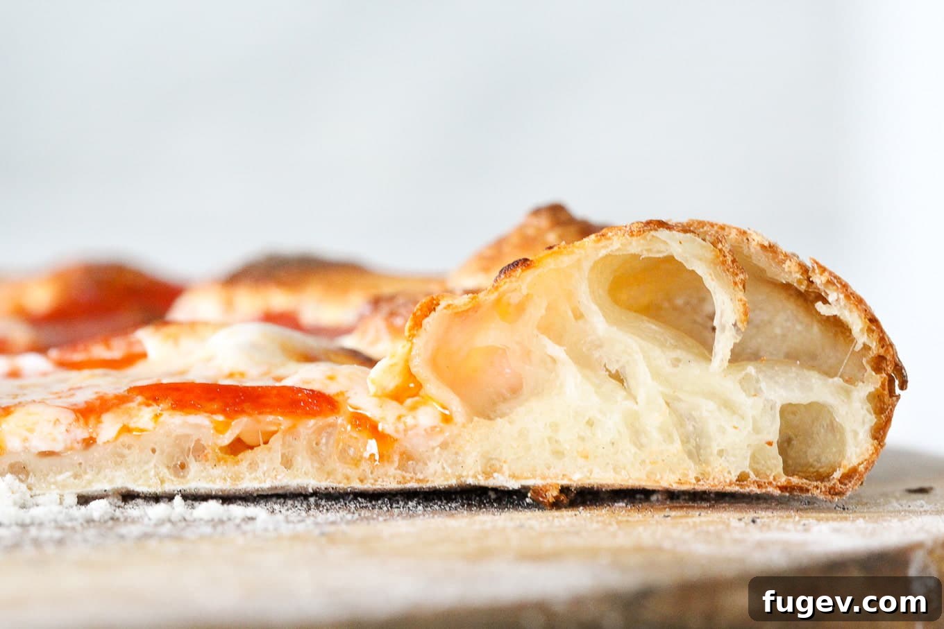 Artisan Sourdough Pizza Dough 3 Interior of sourdough pizza crust showing open, airy texture with large bubbles.