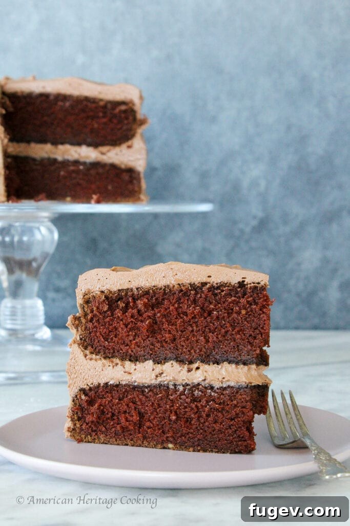 Velvet Chocolate Mayonnaise Cake 5 Another enticing view of a slice of Chocolate Mayonnaise Cake, emphasizing its rich color and inviting texture.