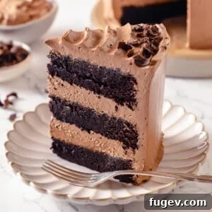 Chocolate cake slice highlighting smooth buttercream between moist layers, ready to be served.