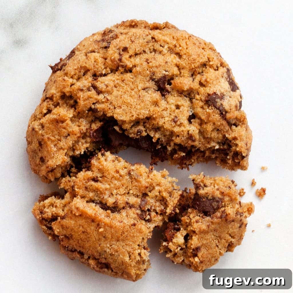 Wholesome Chocolate Chip Delights 4 Freshly scooped Whole Wheat Chocolate Chip Cookie dough on a baking sheet