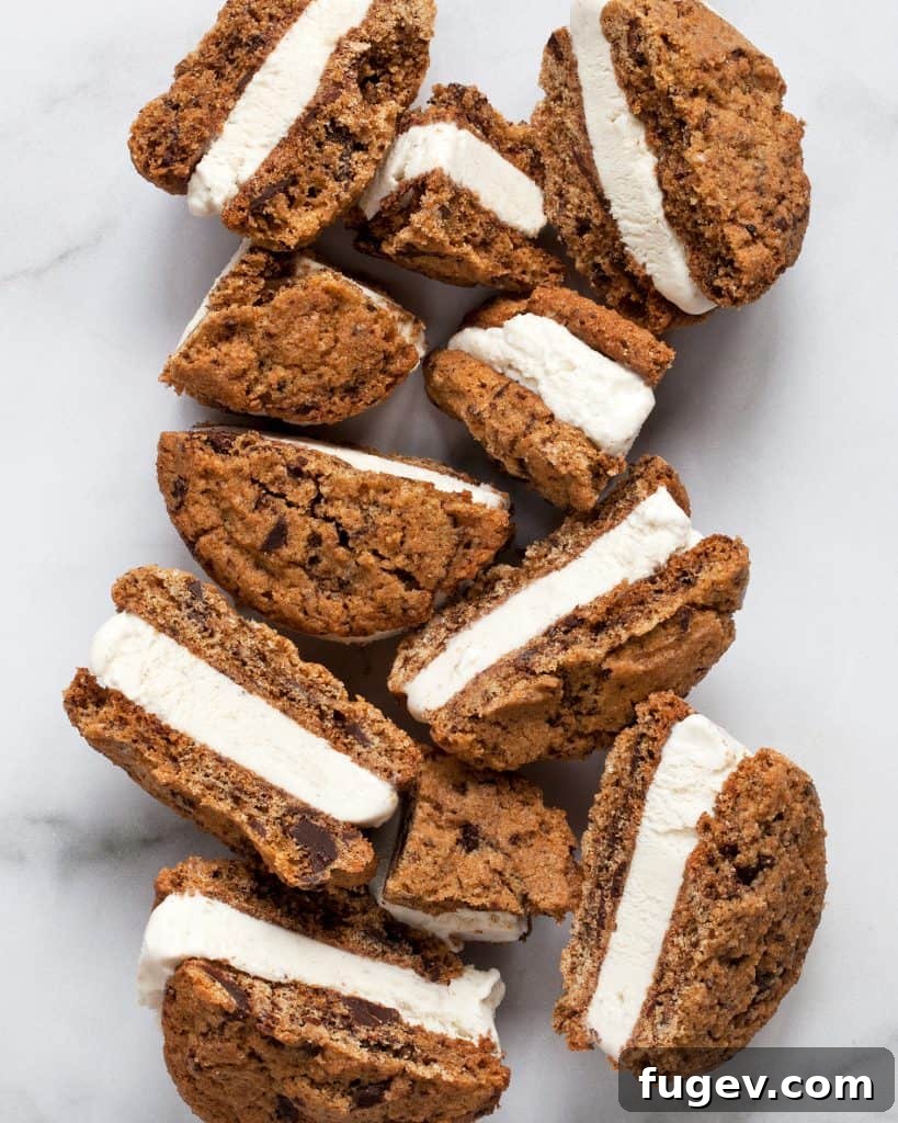 Wholesome Chocolate Chip Delights 5 Decadent Whole Wheat Chocolate Chip Cookie Ice Cream Sandwiches