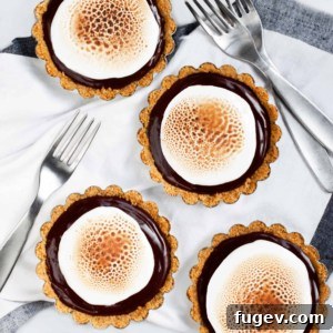 Bite-Sized S'mores Tarts 2 Mini S'mores Tarts