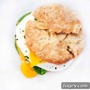 Breakfast Biscuit