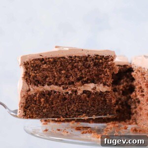 A close-up of a slice of old-fashioned chocolate fudge cake on a cake server, highlighting the rich frosting and dense cake layers.