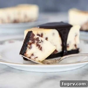 Decadent Chocolate Chip Cheesecake 2 A perfectly sliced Chocolate Chip Cheesecake revealing its creamy texture and Oreo crust.