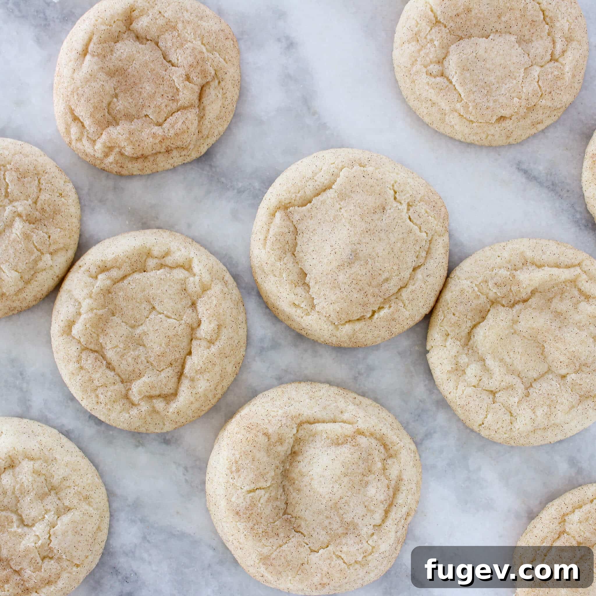 Your New Favorite Snickerdoodle Recipe 5 Beautifully baked Snickerdoodle Cookies arranged on a marble counter.