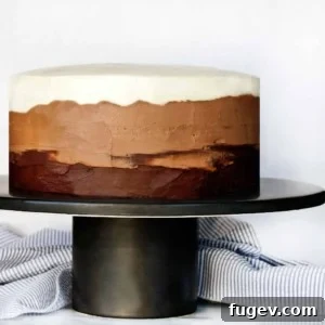 Triple Chocolate Ombre Cake
