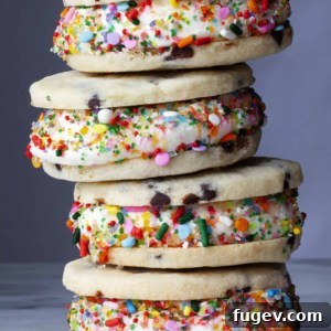 Indulgent Chocolate Chip Shortbread Ice Cream Sandwiches 2 Up-close shot of a decorated Chocolate Chip Shortbread Ice Cream Sandwich