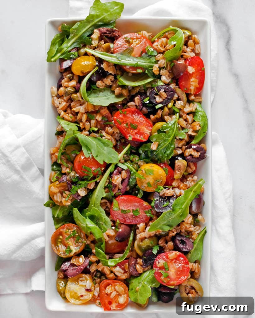 Zesty Farro Puttanesca with Sun-Ripened Tomatoes 3 Fresh Tomato Farro Puttanesca served in a rustic bowl