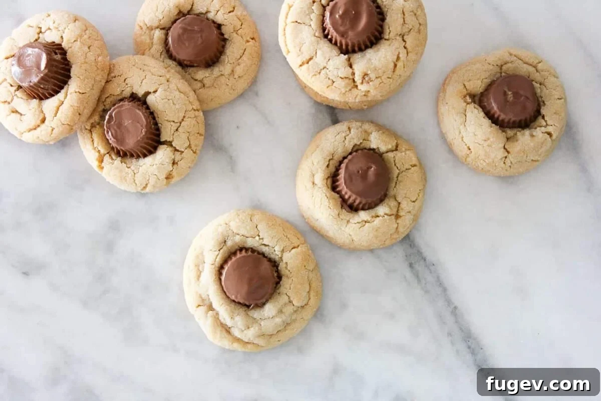 Chocolate Peanut Butter Cup Delights 2 Thick, chewy Peanut Butter Cup Cookie with a melted Reese's in the center