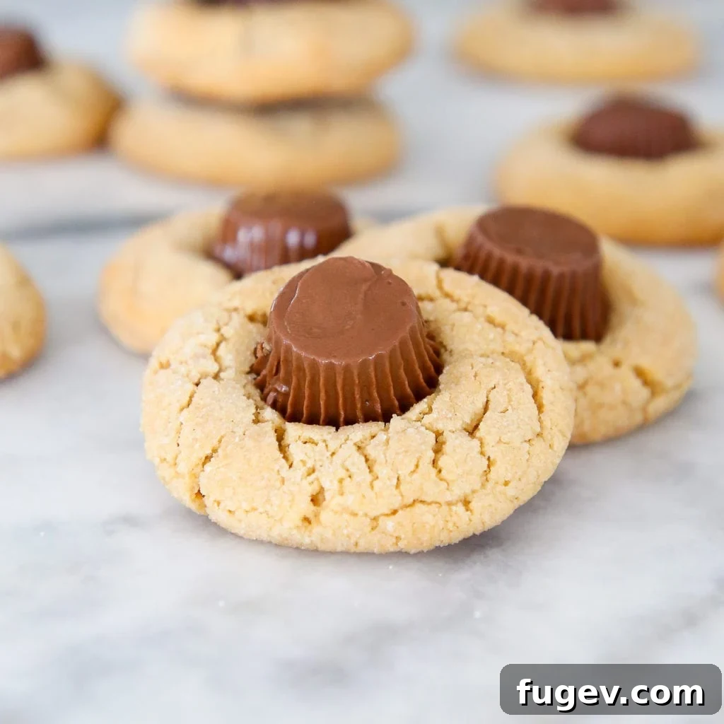 Chocolate Peanut Butter Cup Delights 4 Peanut Butter Cup Cookies are thick, chewy peanut butter cookies with a mini Reese's cup pressed into the center, perfect for holiday cookie tins.