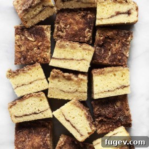 Snickerdoodle Bars