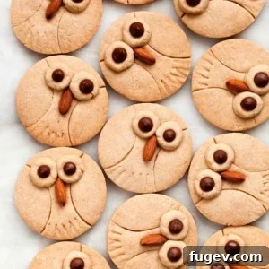 Warm Cinnamon Owl Shortbread Bites 2 Finished Cinnamon Shortbread Owl Cookies on a cooling rack