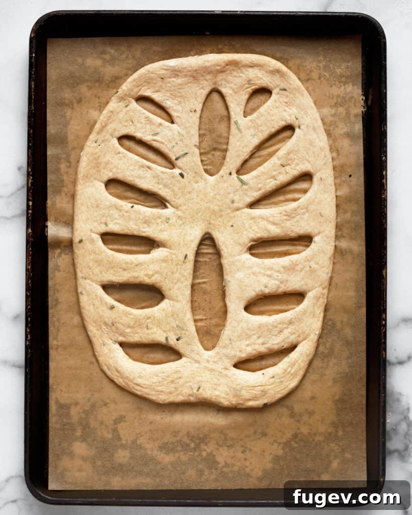 Fragrant Rosemary Fougasse 6 Fougasse dough with diagonal slashes created, further enhancing the leaf shape.